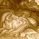 Illustration for article titled Illustrations of the Iguana-Toothed Dinosaur